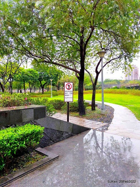 「大安森林公園2022台北杜鵑花季」(Hydrangea & Rhododendron flower exhibition at Da-An forest park), Taipei, Taiwan, SJKen, Feb 20, 2022.