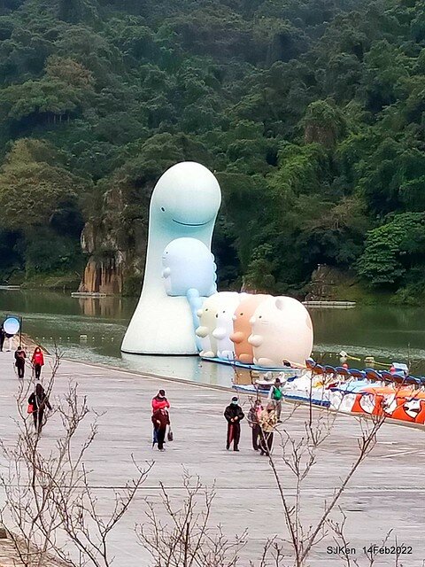 「新店碧潭風景區鬱金香花海」(Tulid blossoms at Pi lake), Hsinpei city, North Taiwan, SJKen, Feb 14, 2022.