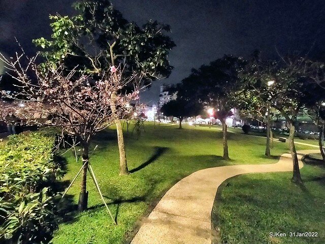 「2022台北東湖樂活夜櫻季」(2022 Taipei Lohas Cherry Blossoms Festival), Taipei, Taiwan, SJKen, Jan 31, 2022.