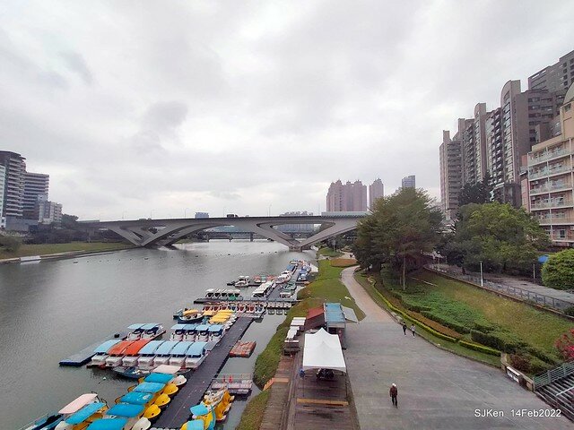 「新店碧潭風景區鬱金香花海」(Tulid blossoms at Pi lake), Hsinpei city, North Taiwan, SJKen, Feb 14, 2022.