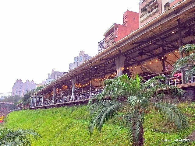 「新店碧潭風景區鬱金香花海」(Tulid blossoms at Pi lake), Hsinpei city, North Taiwan, SJKen, Feb 14, 2022.