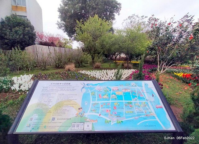 花卉試驗中心鬱金香展(2022 Tulid blossoms exhibition), Taipei, Taiwan, SJKen,Feb 6,  2022.