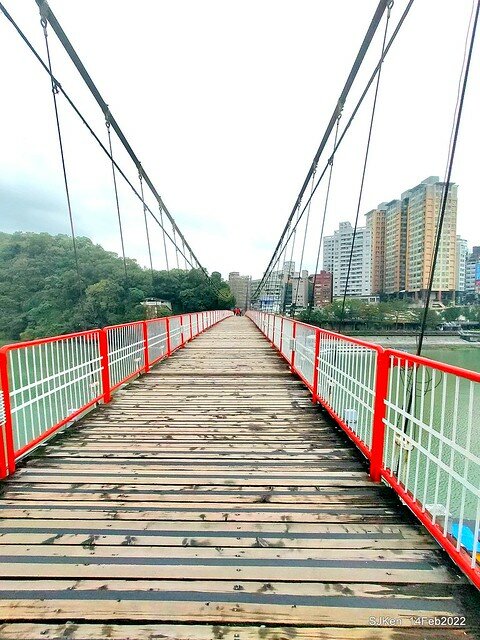 「新店碧潭風景區鬱金香花海」(Tulid blossoms at Pi lake), Hsinpei city, North Taiwan, SJKen, Feb 14, 2022.