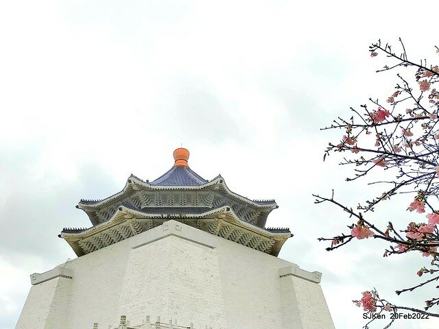 「中正紀念堂」寒流雨中賞櫻與杜鵑花(Cherry Blossom & Rhododendron at C.K.S. Memorial Hall), Taipei, Taiwan, SJKen, Feb 20, 2022.