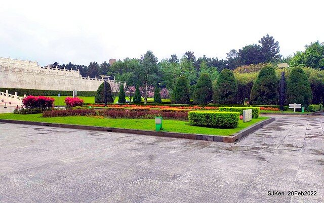 「中正紀念堂」寒流雨中賞櫻與杜鵑花(Cherry Blossom & Rhododendron at C.K.S. Memorial Hall), Taipei, Taiwan, SJKen, Feb 20, 2022.