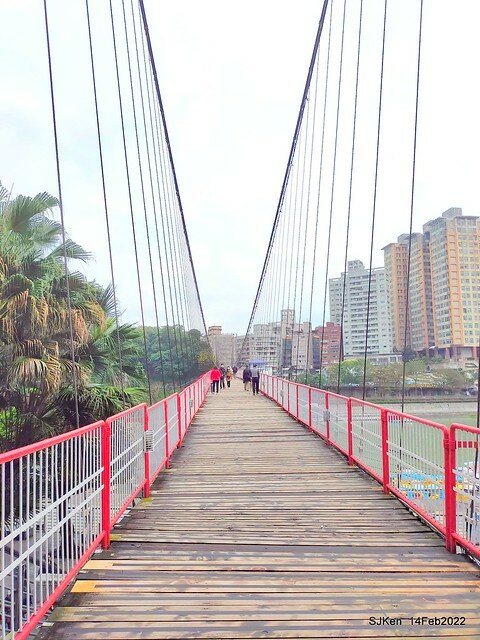 「新店碧潭風景區鬱金香花海」(Tulid blossoms at Pi lake), Hsinpei city, North Taiwan, SJKen, Feb 14, 2022.