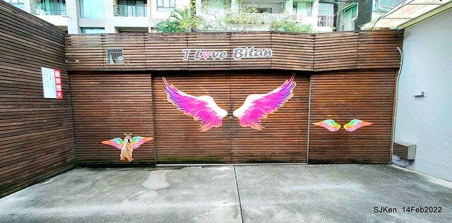 「新店碧潭風景區鬱金香花海」(Tulid blossoms at Pi lake), Hsinpei city, North Taiwan, SJKen, Feb 14, 2022.