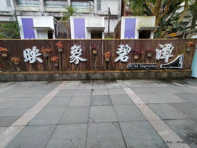 「新店碧潭風景區鬱金香花海」(Tulid blossoms at Pi lake), Hsinpei city, North Taiwan, SJKen, Feb 14, 2022.