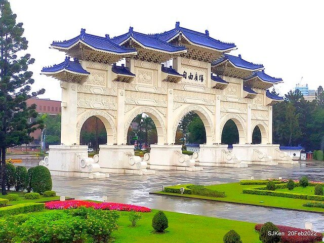 「中正紀念堂」寒流雨中賞櫻與杜鵑花(Cherry Blossom & Rhododendron at C.K.S. Memorial Hall), Taipei, Taiwan, SJKen, Feb 20, 2022.