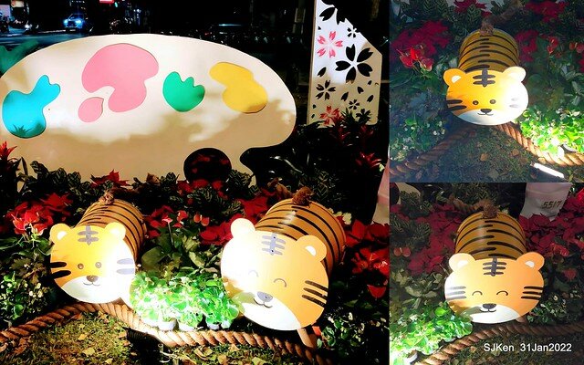 「2022台北東湖樂活夜櫻季」(2022 Taipei Lohas Cherry Blossoms Festival), Taipei, Taiwan, SJKen, Jan 31, 2022.