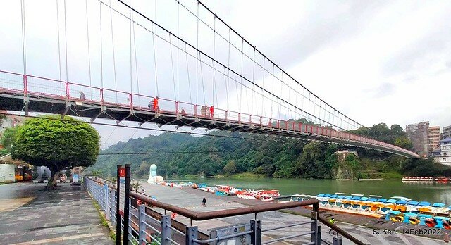 「新店碧潭風景區鬱金香花海」(Tulid blossoms at Pi lake), Hsinpei city, North Taiwan, SJKen, Feb 14, 2022.
