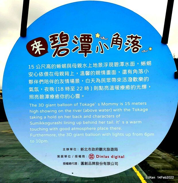 「新店碧潭風景區鬱金香花海」(Tulid blossoms at Pi lake), Hsinpei city, North Taiwan, SJKen, Feb 14, 2022.