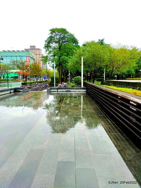 「大安森林公園2022台北杜鵑花季」(Hydrangea & Rhododendron flower exhibition at Da-An forest park), Taipei, Taiwan, SJKen, Feb 20, 2022.