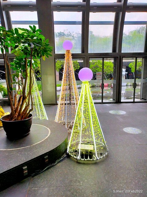 「大安森林公園2022台北杜鵑花季」(Hydrangea & Rhododendron flower exhibition at Da-An forest park), Taipei, Taiwan, SJKen, Feb 20, 2022.