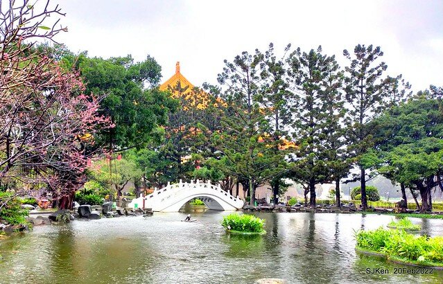 「中正紀念堂」寒流雨中賞櫻與杜鵑花(Cherry Blossom & Rhododendron at C.K.S. Memorial Hall), Taipei, Taiwan, SJKen, Feb 20, 2022.