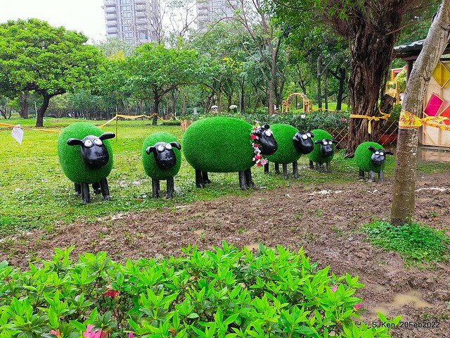 「大安森林公園2022台北杜鵑花季」(Hydrangea & Rhododendron flower exhibition at Da-An forest park), Taipei, Taiwan, SJKen, Feb 20, 2022.