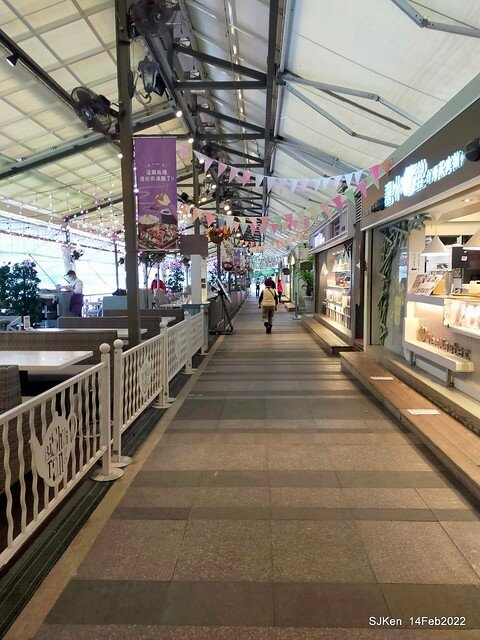 「新店碧潭風景區鬱金香花海」(Tulid blossoms at Pi lake), Hsinpei city, North Taiwan, SJKen, Feb 14, 2022.