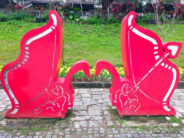 「新店碧潭風景區鬱金香花海」(Tulid blossoms at Pi lake), Hsinpei city, North Taiwan, SJKen, Feb 14, 2022.