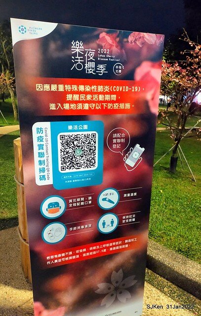 「2022台北東湖樂活夜櫻季」(2022 Taipei Lohas Cherry Blossoms Festival), Taipei, Taiwan, SJKen, Jan 31, 2022.