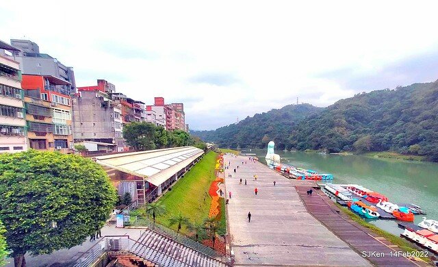「新店碧潭風景區鬱金香花海」(Tulid blossoms at Pi lake), Hsinpei city, North Taiwan, SJKen, Feb 14, 2022.