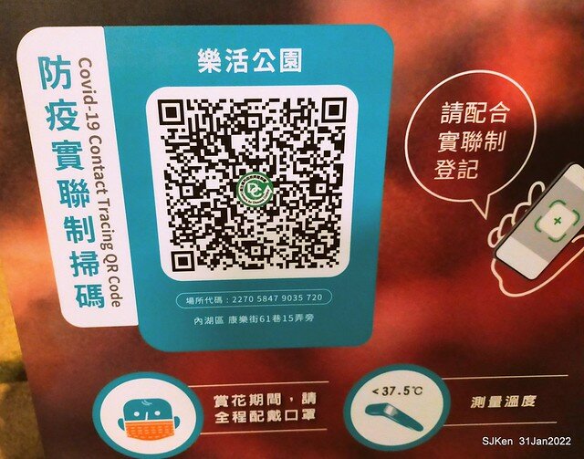 「2022台北東湖樂活夜櫻季」(2022 Taipei Lohas Cherry Blossoms Festival), Taipei, Taiwan, SJKen, Jan 31, 2022.