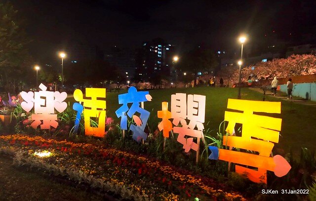 「2022台北東湖樂活夜櫻季」(2022 Taipei Lohas Cherry Blossoms Festival), Taipei, Taiwan, SJKen, Jan 31, 2022.