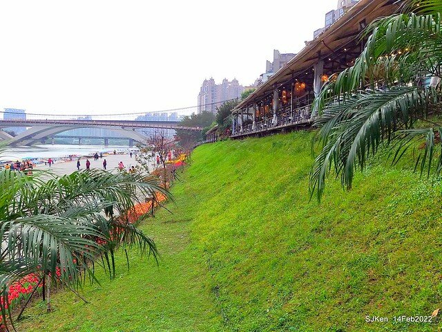 「新店碧潭風景區鬱金香花海」(Tulid blossoms at Pi lake), Hsinpei city, North Taiwan, SJKen, Feb 14, 2022.