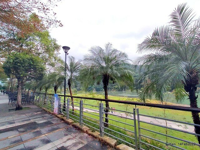 「新店碧潭風景區鬱金香花海」(Tulid blossoms at Pi lake), Hsinpei city, North Taiwan, SJKen, Feb 14, 2022.