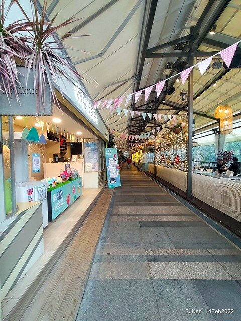 「新店碧潭風景區鬱金香花海」(Tulid blossoms at Pi lake), Hsinpei city, North Taiwan, SJKen, Feb 14, 2022.