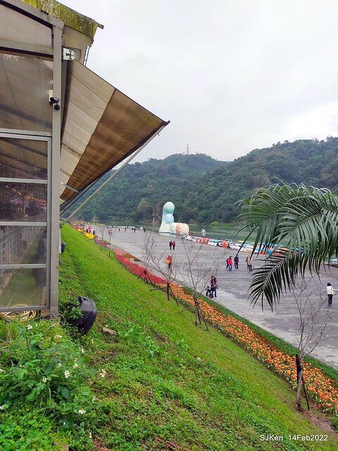 「新店碧潭風景區鬱金香花海」(Tulid blossoms at Pi lake), Hsinpei city, North Taiwan, SJKen, Feb 14, 2022.