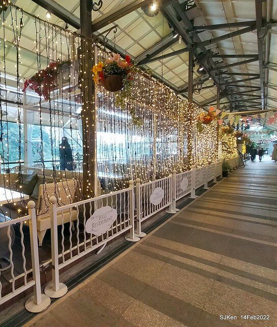 「新店碧潭風景區鬱金香花海」(Tulid blossoms at Pi lake), Hsinpei city, North Taiwan, SJKen, Feb 14, 2022.