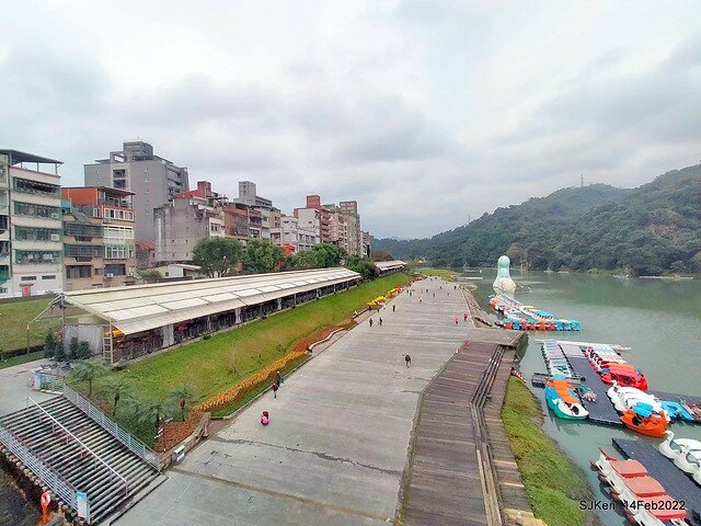 「新店碧潭風景區鬱金香花海」(Tulid blossoms at Pi lake), Hsinpei city, North Taiwan, SJKen, Feb 14, 2022.