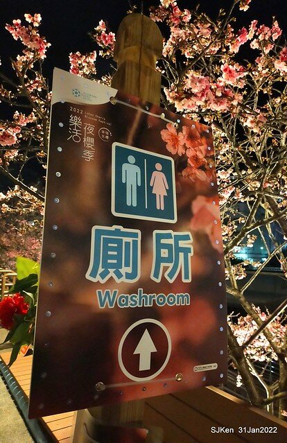 「2022台北東湖樂活夜櫻季」(2022 Taipei Lohas Cherry Blossoms Festival), Taipei, Taiwan, SJKen, Jan 31, 2022.
