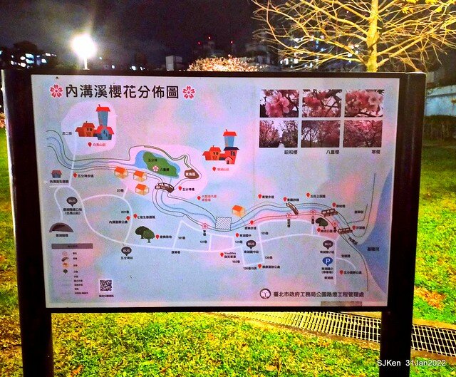 「2022台北東湖樂活夜櫻季」(2022 Taipei Lohas Cherry Blossoms Festival), Taipei, Taiwan, SJKen, Jan 31, 2022.