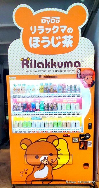 「新店碧潭風景區鬱金香花海」(Tulid blossoms at Pi lake), Hsinpei city, North Taiwan, SJKen, Feb 14, 2022.