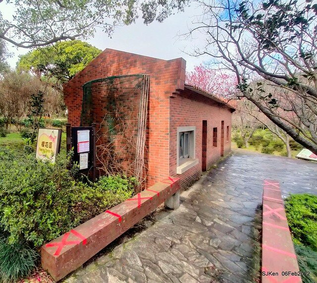 花卉試驗中心櫻花篇(2022 Cherry blossoms ), Taipei, Taiwan, SJKen,Feb 6, 2022.