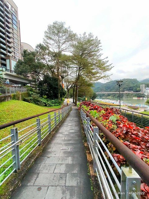 「新店碧潭風景區鬱金香花海」(Tulid blossoms at Pi lake), Hsinpei city, North Taiwan, SJKen, Feb 14, 2022.