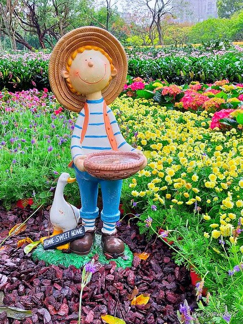 「大安森林公園2022台北杜鵑花季」(Hydrangea & Rhododendron flower exhibition at Da-An forest park), Taipei, Taiwan, SJKen, Feb 20, 2022.