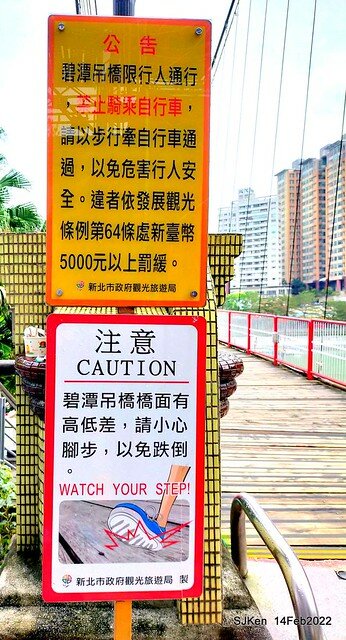 「新店碧潭風景區鬱金香花海」(Tulid blossoms at Pi lake), Hsinpei city, North Taiwan, SJKen, Feb 14, 2022.