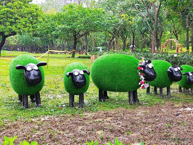 「大安森林公園2022台北杜鵑花季」(Hydrangea & Rhododendron flower exhibition at Da-An forest park), Taipei, Taiwan, SJKen, Feb 20, 2022.