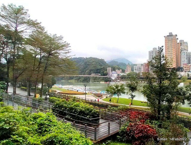 「新店碧潭風景區鬱金香花海」(Tulid blossoms at Pi lake), Hsinpei city, North Taiwan, SJKen, Feb 14, 2022.