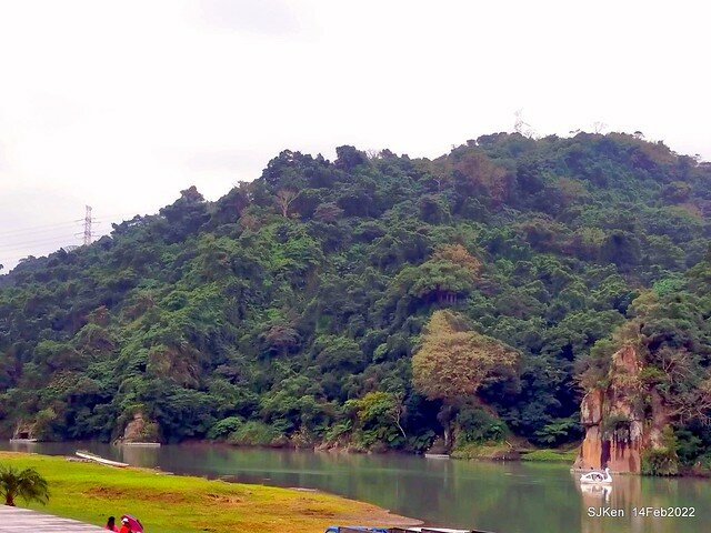 「新店碧潭風景區鬱金香花海」(Tulid blossoms at Pi lake), Hsinpei city, North Taiwan, SJKen, Feb 14, 2022.