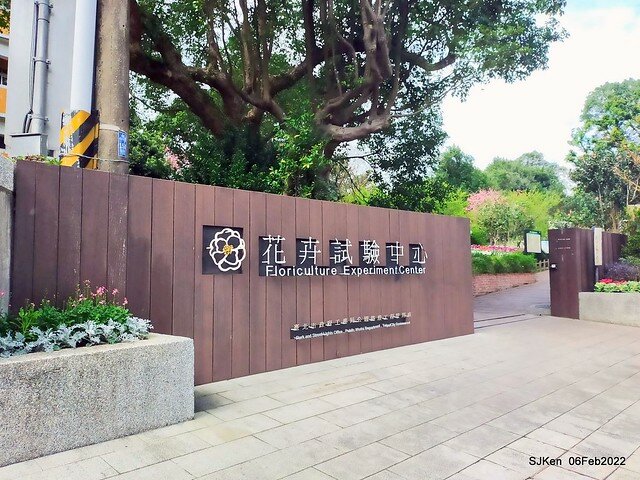 花卉試驗中心鬱金香展(2022 Tulid blossoms exhibition), Taipei, Taiwan, SJKen,Feb 6,  2022.