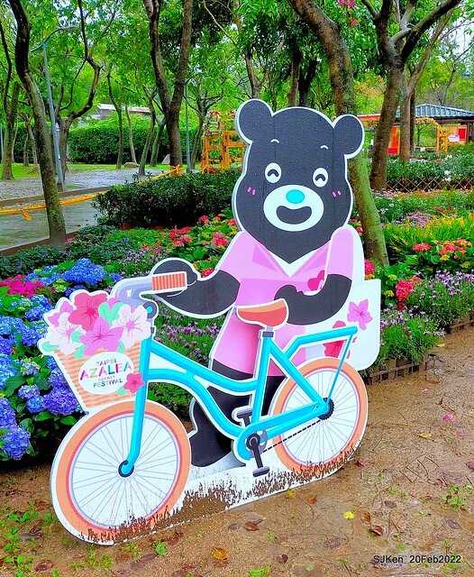 「大安森林公園2022台北杜鵑花季」(Hydrangea & Rhododendron flower exhibition at Da-An forest park), Taipei, Taiwan, SJKen, Feb 20, 2022.