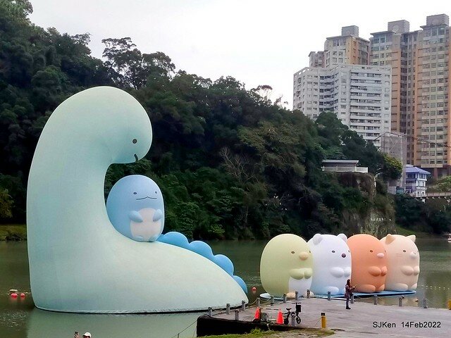 「新店碧潭風景區鬱金香花海」(Tulid blossoms at Pi lake), Hsinpei city, North Taiwan, SJKen, Feb 14, 2022.