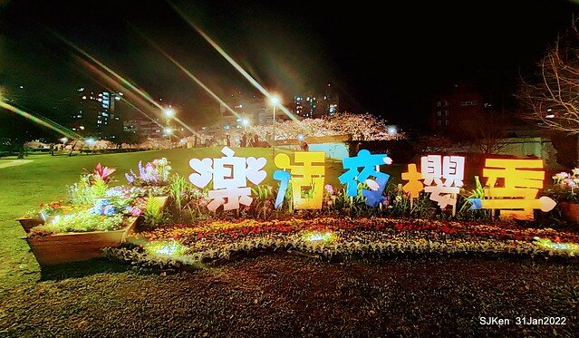 「2022台北東湖樂活夜櫻季」(2022 Taipei Lohas Cherry Blossoms Festival), Taipei, Taiwan, SJKen, Jan 31, 2022.