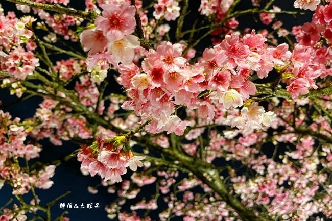 272785069_10226777851375141_5786689767656065317_n (1)_副本_副本.jpg