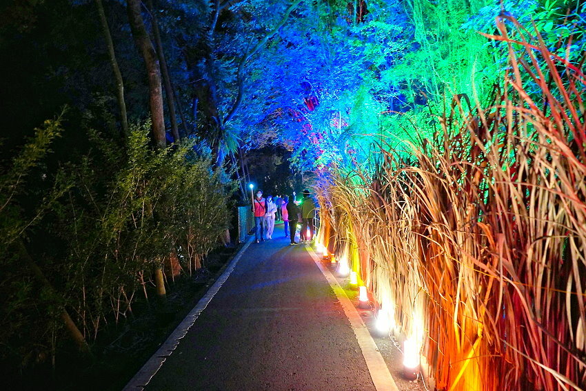 【2022埔里森林逐燈祭攻略】地母廟哲學之路五大展區、二大互動區，今年必遊的森林燈會!