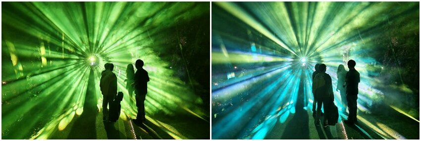 【2022埔里森林逐燈祭攻略】地母廟哲學之路五大展區、二大互動區，今年必遊的森林燈會!