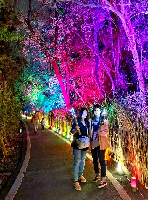 【2022埔里森林逐燈祭攻略】地母廟哲學之路五大展區、二大互動區，今年必遊的森林燈會!